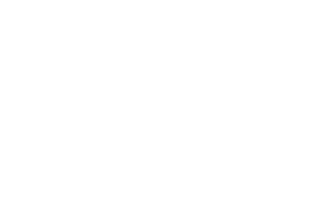 Zigbee Logo